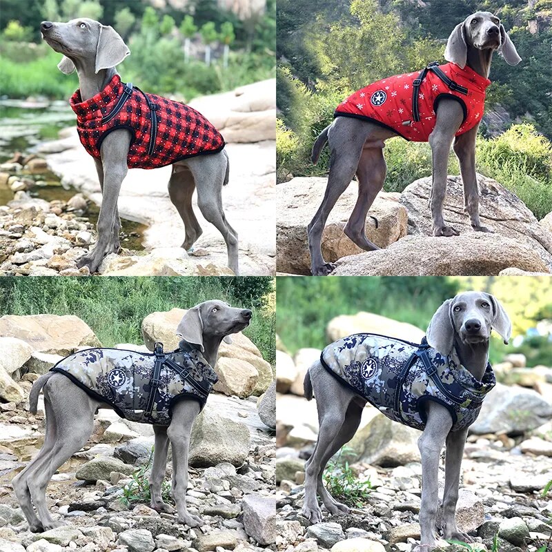 THE-91.STORE ™ - WATERPROOF WINTER JACKET WITH BUILT-IN HARNESS.